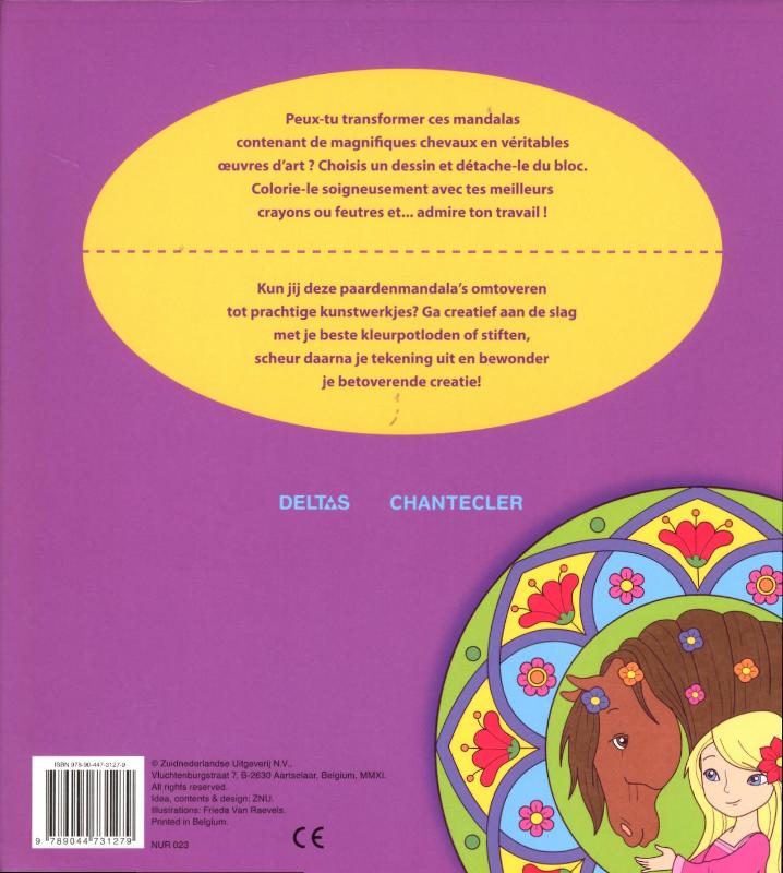 Achterkant van Paarden mandala