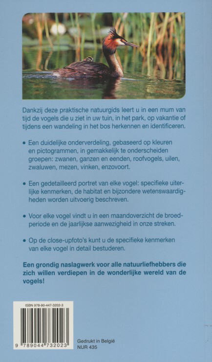Achterkant van Vogels