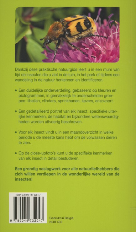 Achterkant van Insecten
