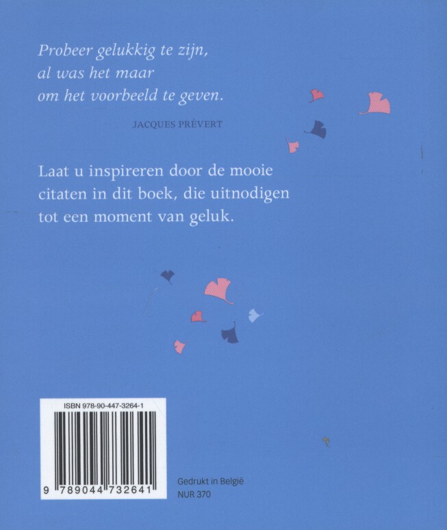 Achterkant van Elke dag een beetje geluk