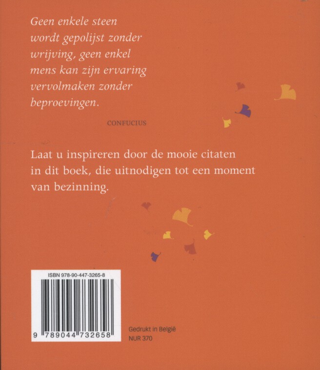 Achterkant van Elke dag een moment van meditatie