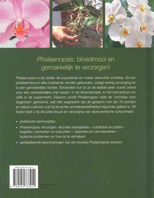 Achterkant van De koningin van de orchideeen