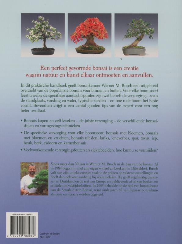 Achterkant van Bonsai