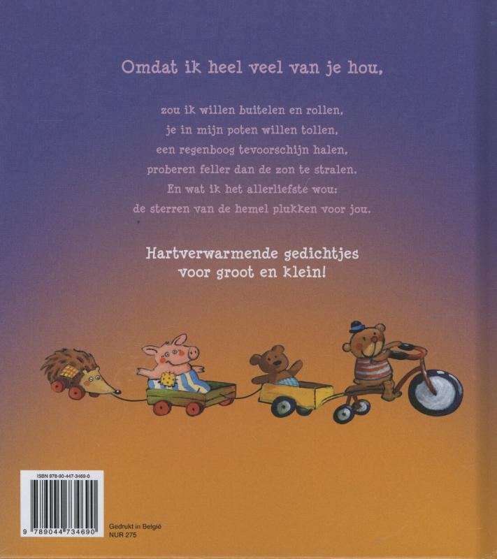 Achterkant van Omdat ik heel veel van je hou
