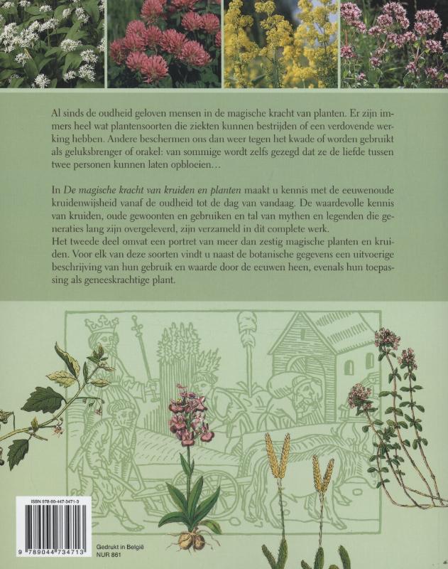 Achterkant van De magische kracht van kruiden en planten