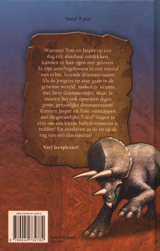 Achterkant van De dino baai