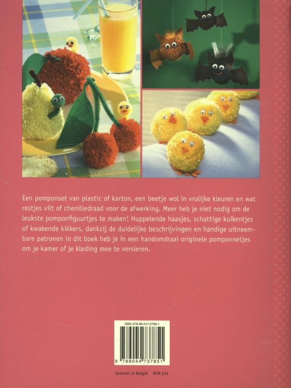 Achterkant van Leuke knutsels met pompons