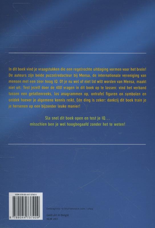 Achterkant van Het grote IQ puzzelboek