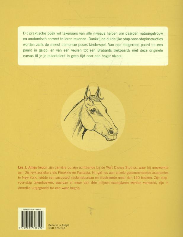 Achterkant van Tekencursus paarden
