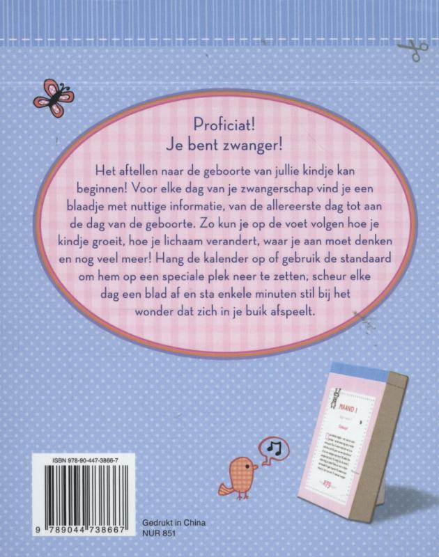 Achterkant van Mijn zwangerschap