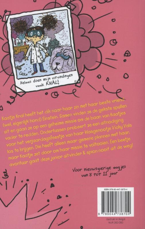 Achterkant van De geheime missie