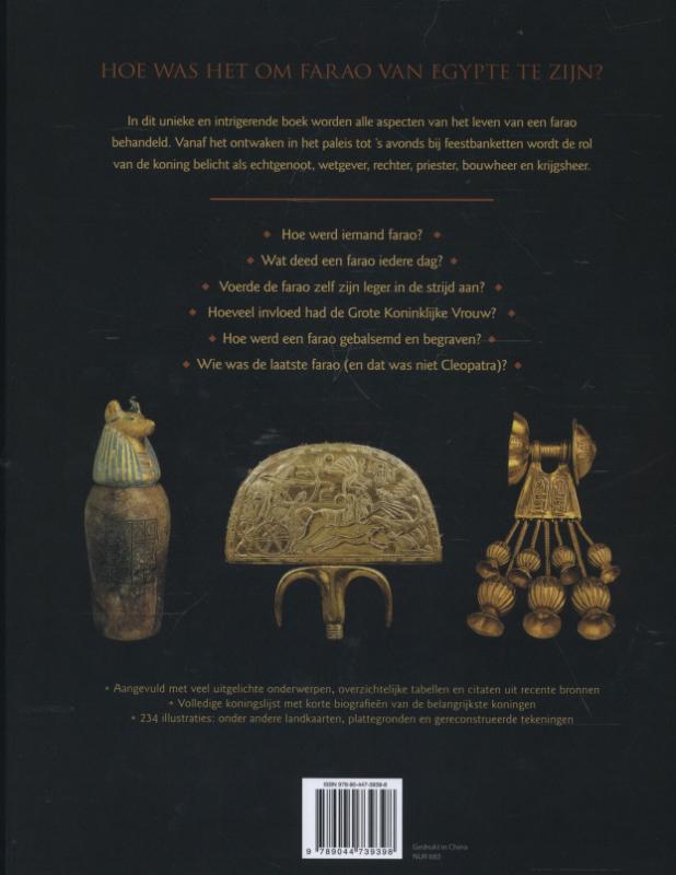 Achterkant van De farao's