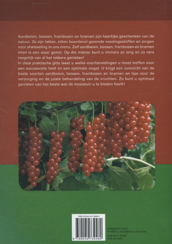 Achterkant van Aardbeien, bessen en frambozen
