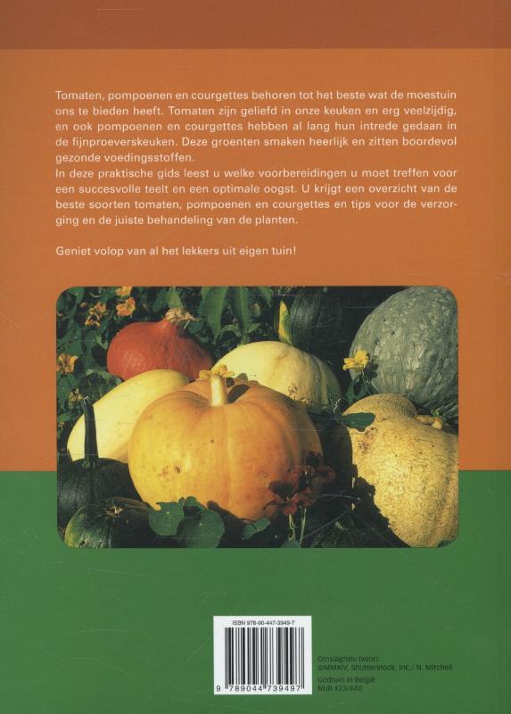 Achterkant van Tomaten, pompoenen en courgettes