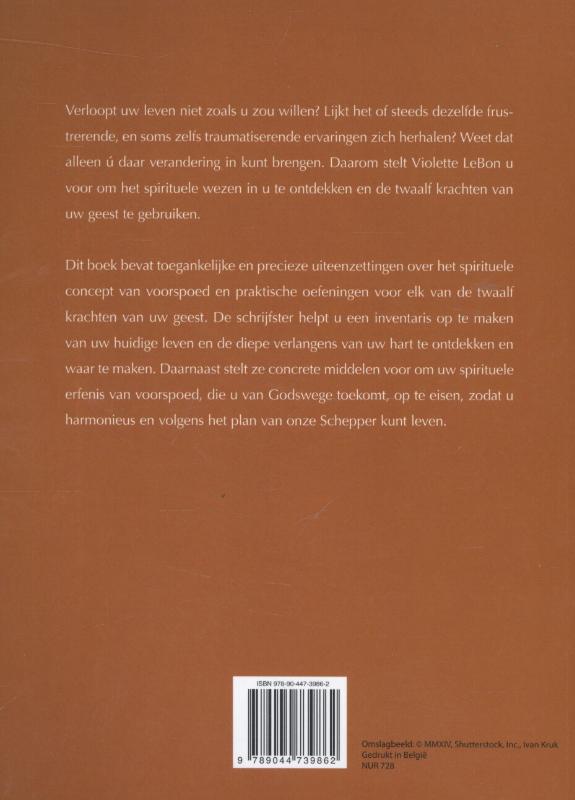 Achterkant van Spiritualiteit