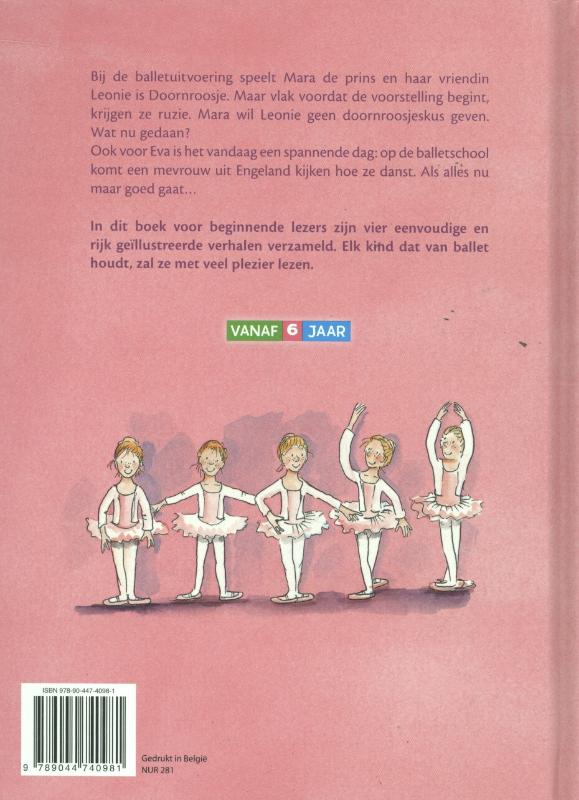 Achterkant van 6 plus