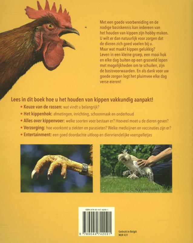 Achterkant van Kippen houden voor beginners