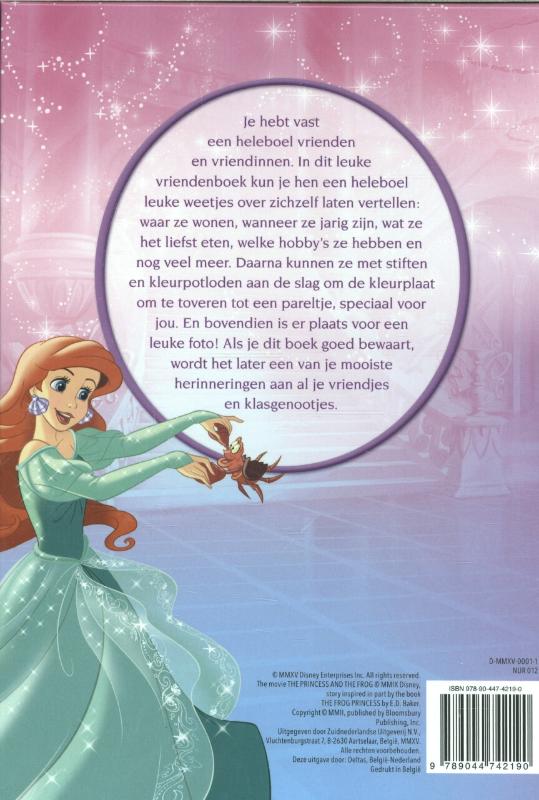 Achterkant van Disney Prinses vriendenboek