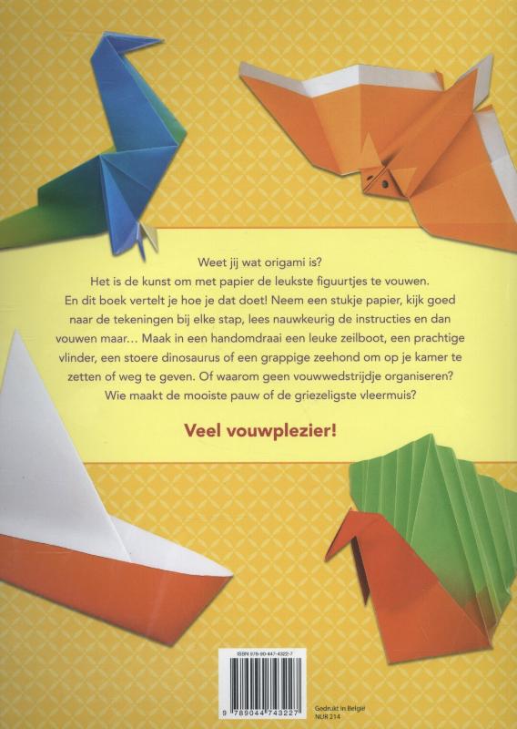 Achterkant van Origami