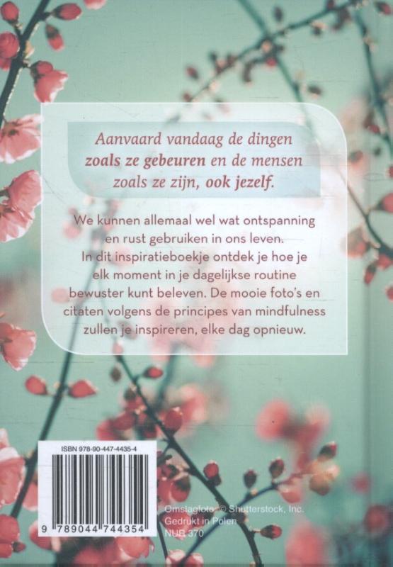 Achterkant van Mindful op elk moment
