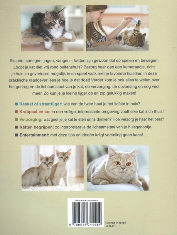 Achterkant van Katten