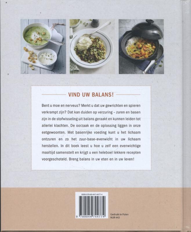 Achterkant van Zuur-base kookboek
