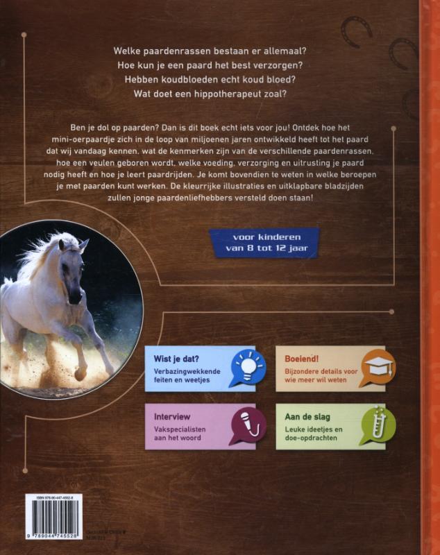 Achterkant van Paarden en pony's