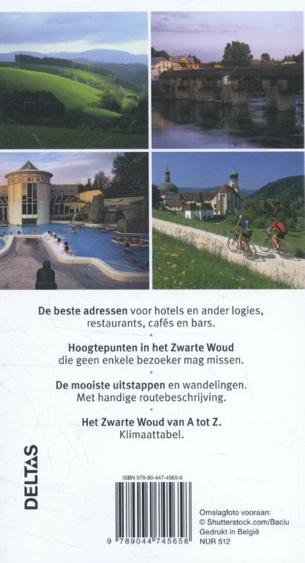 Achterkant van Zwarte Woud