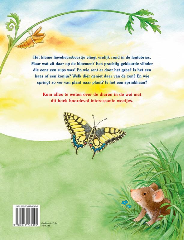 Achterkant van Het kleine lieveheersbeestje en de dieren in de wei