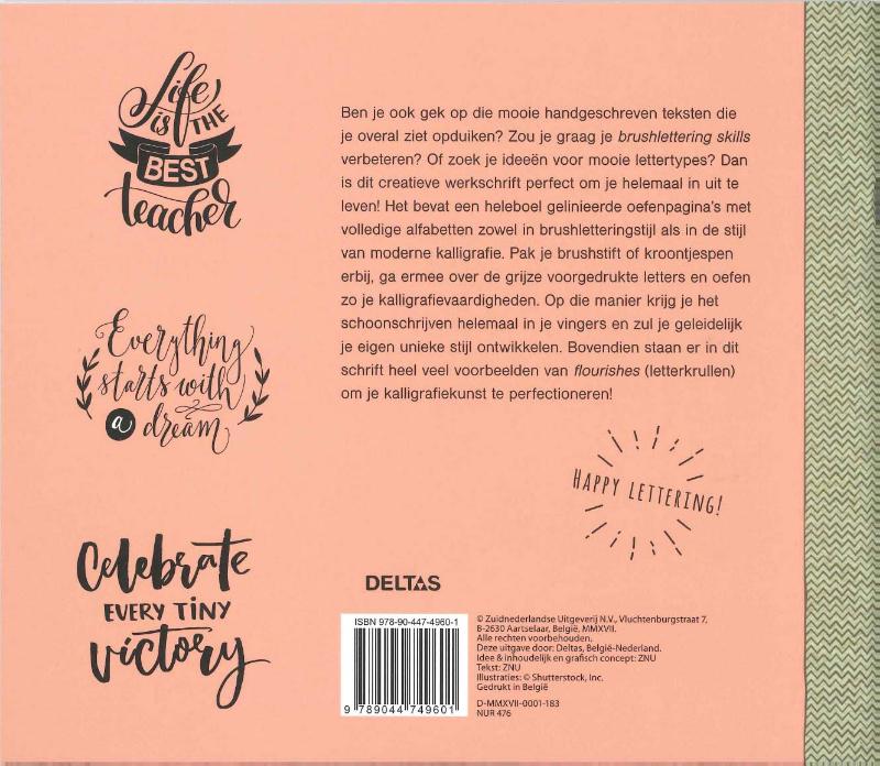 Achterkant van Brushlettering en moderne kalligrafie