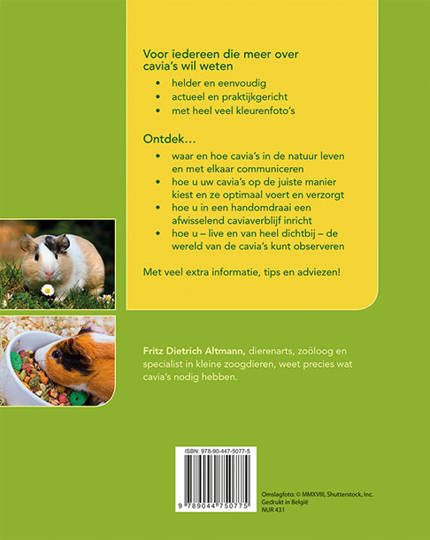 Achterkant van Cavia's houden