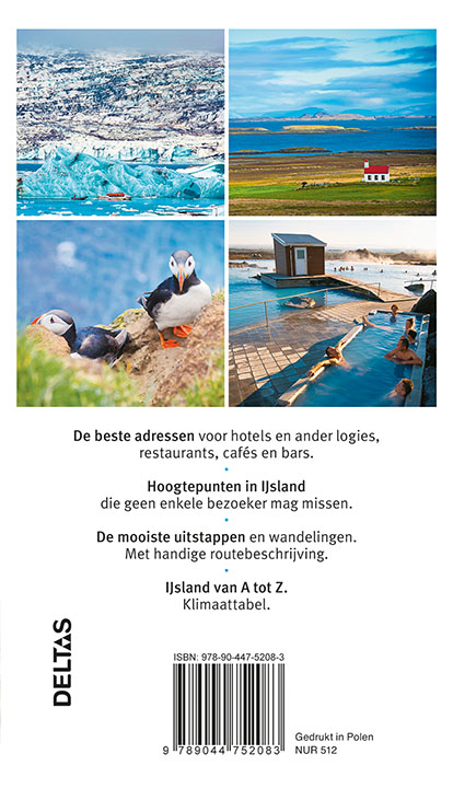 Achterkant van Ijsland