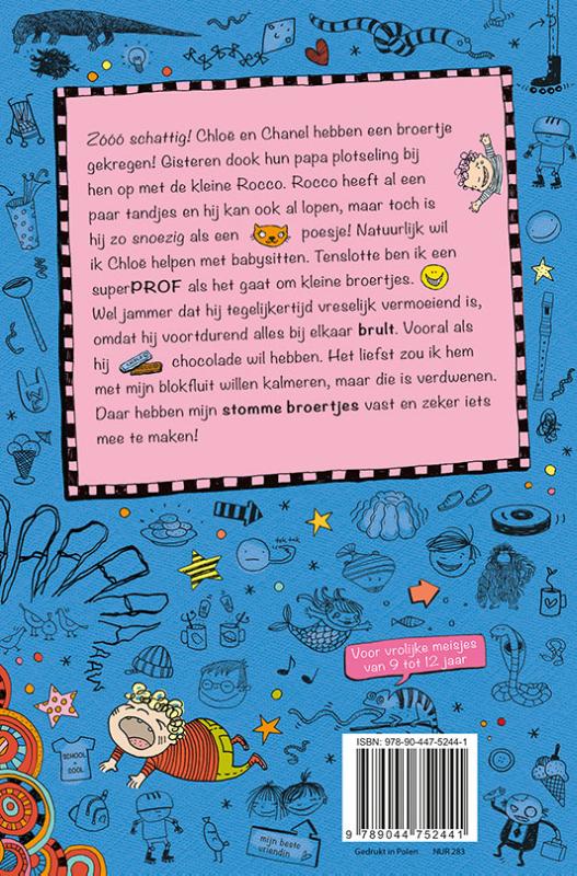 Achterkant van De babysitvriendinnen