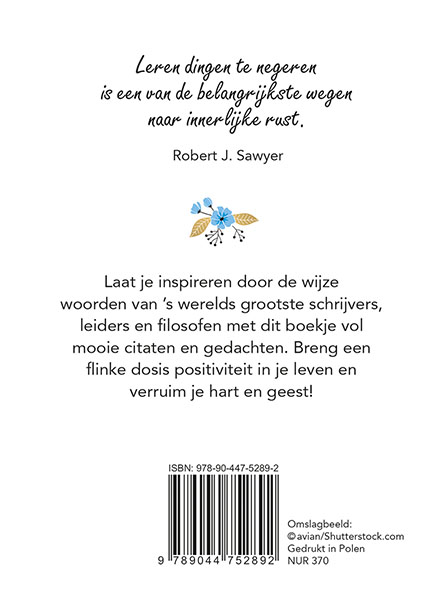 Achterkant van Rust