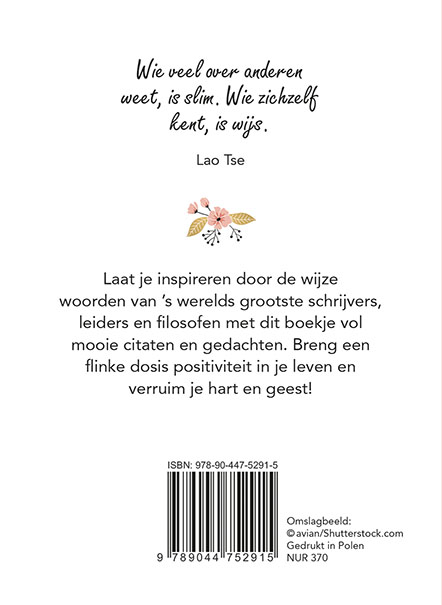 Achterkant van Wijsheid