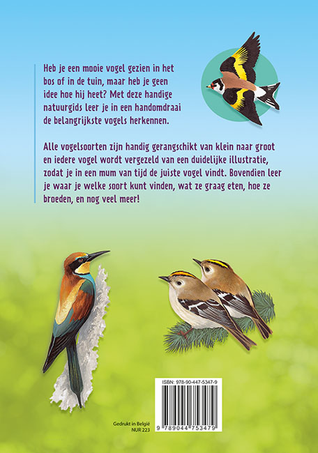 Achterkant van Vogels herkennen en observeren