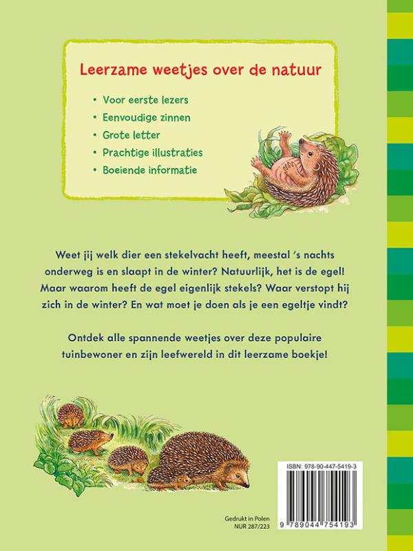 Achterkant van De egel