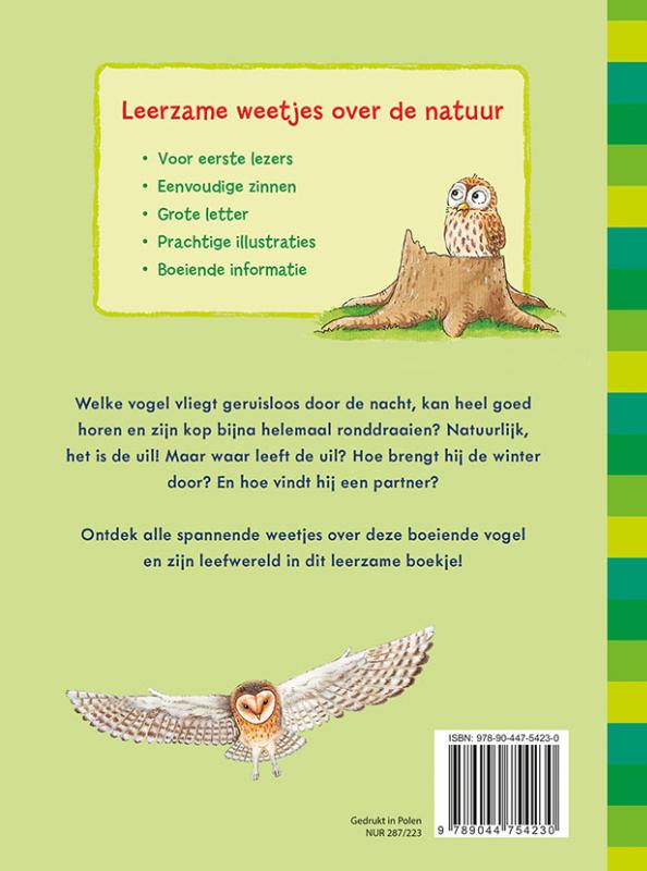 Achterkant van De uil