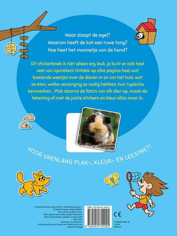 Achterkant van 6-8 jaar
