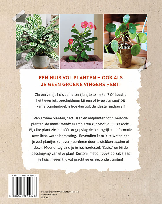 Achterkant van Raadgever kamerplanten