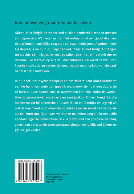 Achterkant van Burn-out en depressie overwinnen