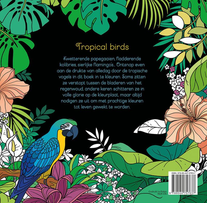 Achterkant van Tropical birds