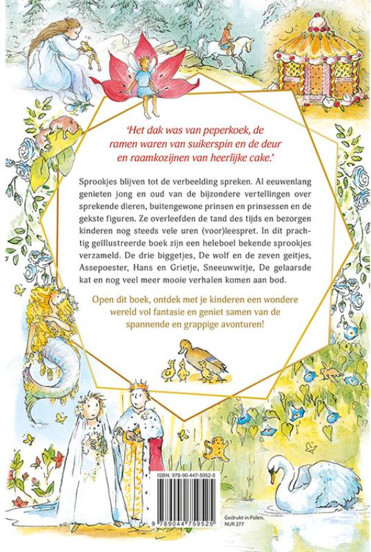 Achterkant van Deltas wondere sprookjesschat