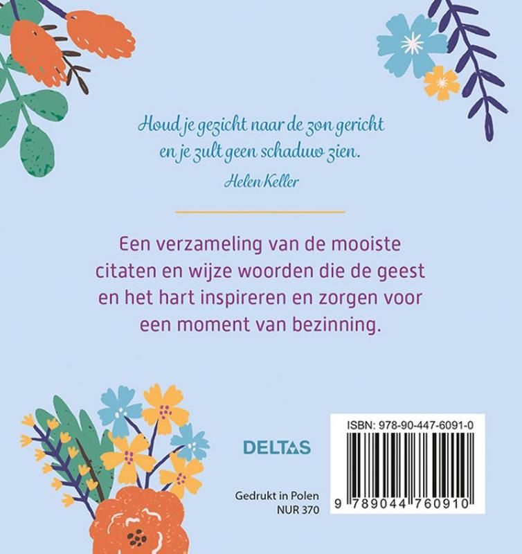 Achterkant van Rust