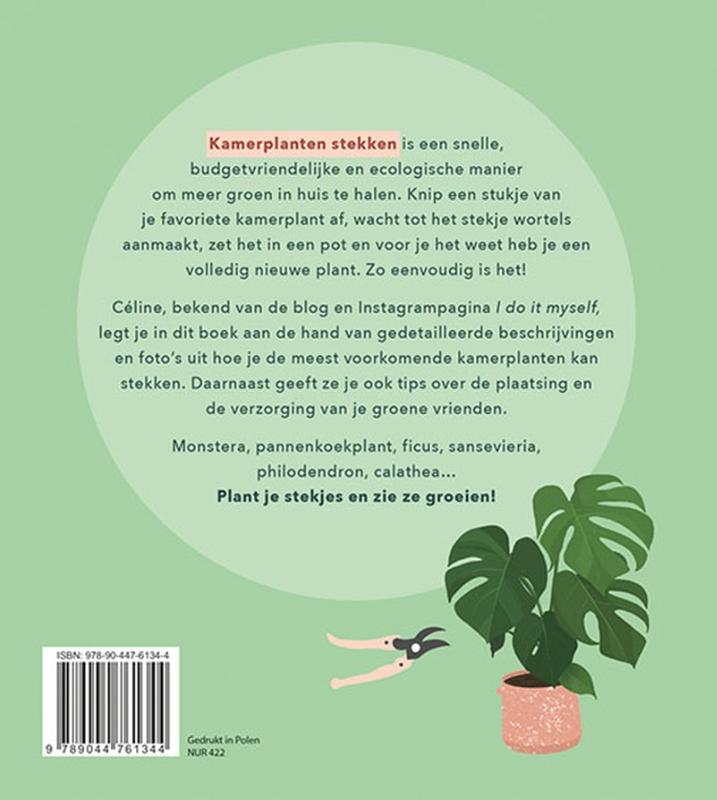 Achterkant van Kamerplanten stekken