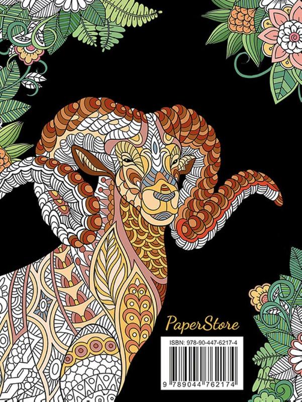 Achterkant van Animal Kingdom kleurboek