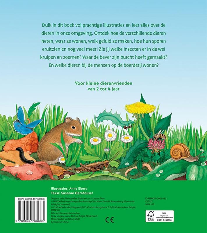 Achterkant van 2-4 jaar