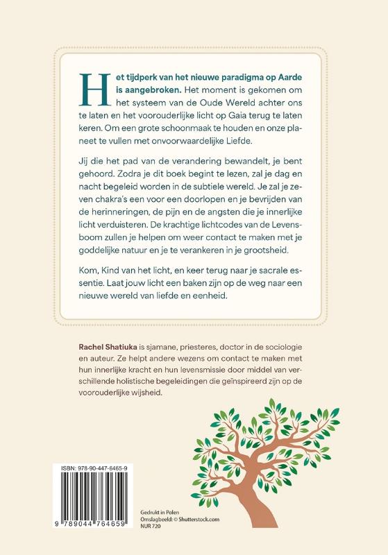 Achterkant van De 7 lichtcodes van de levensboom