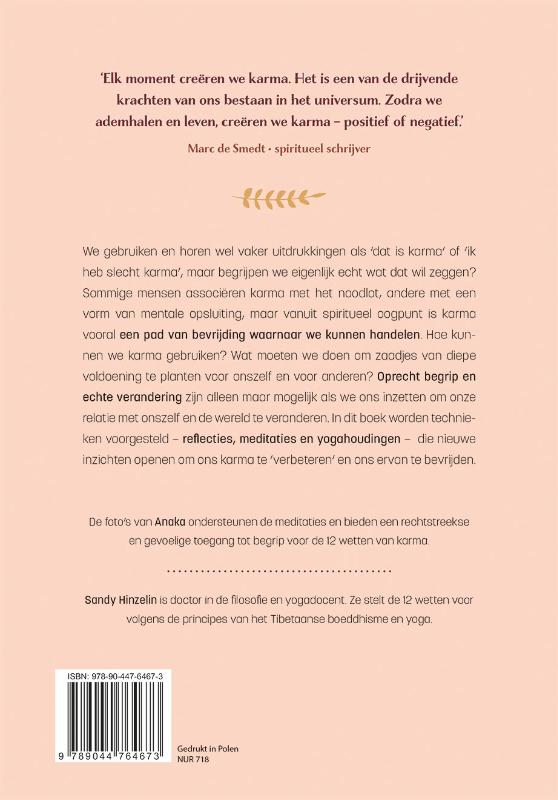 Achterkant van De 12 wetten van Karma