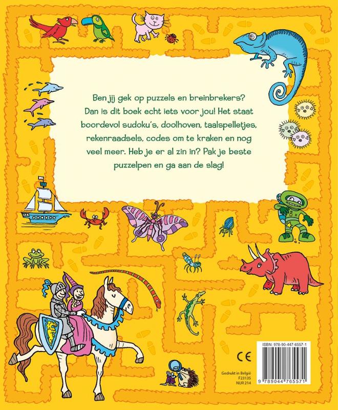 Achterkant van 101 reuzeleuke spelletjes en puzzels